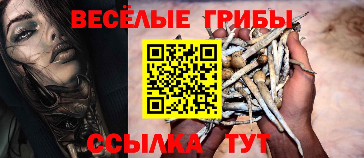 Псилоцибиновые грибы Psilocybe  Вход с VPN  продажа наркотиков  Урус-Мартан 