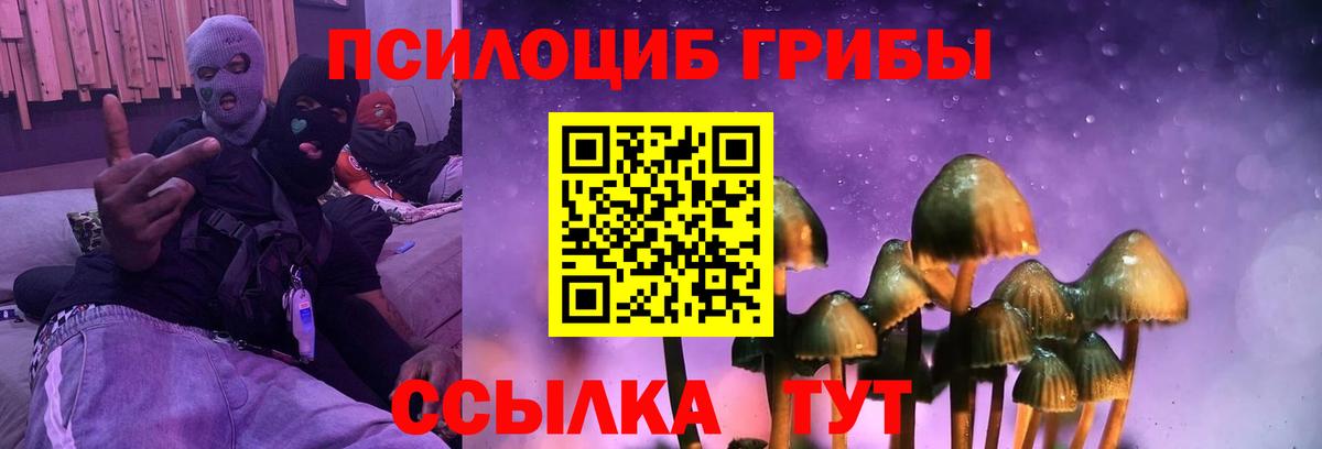 Лсд 25 Урус-Мартан