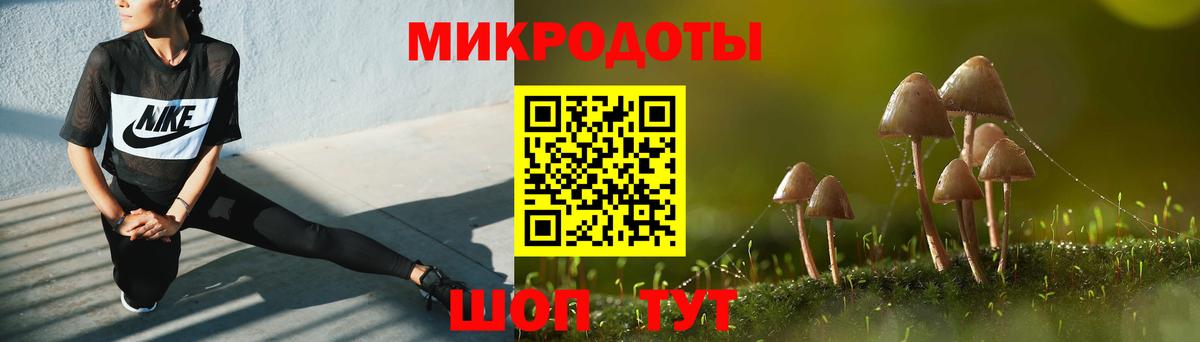 Галлюциногенные грибы Psilocybe Урус-Мартан